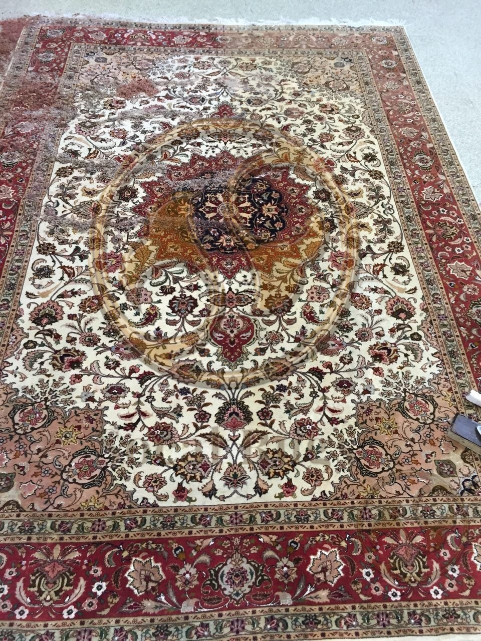 Vibrant Wool Pile Restore Detail